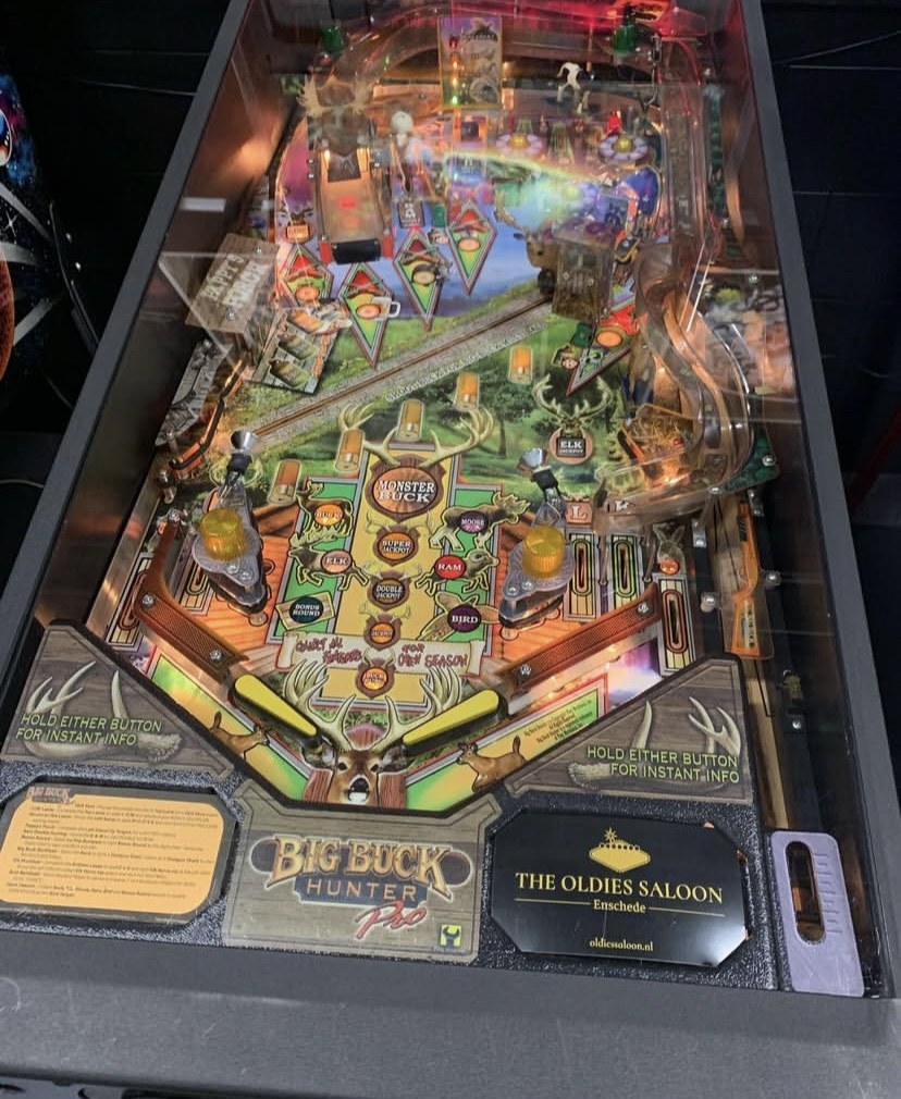Big Buck Hunter Pro Pinball Machine — view 5