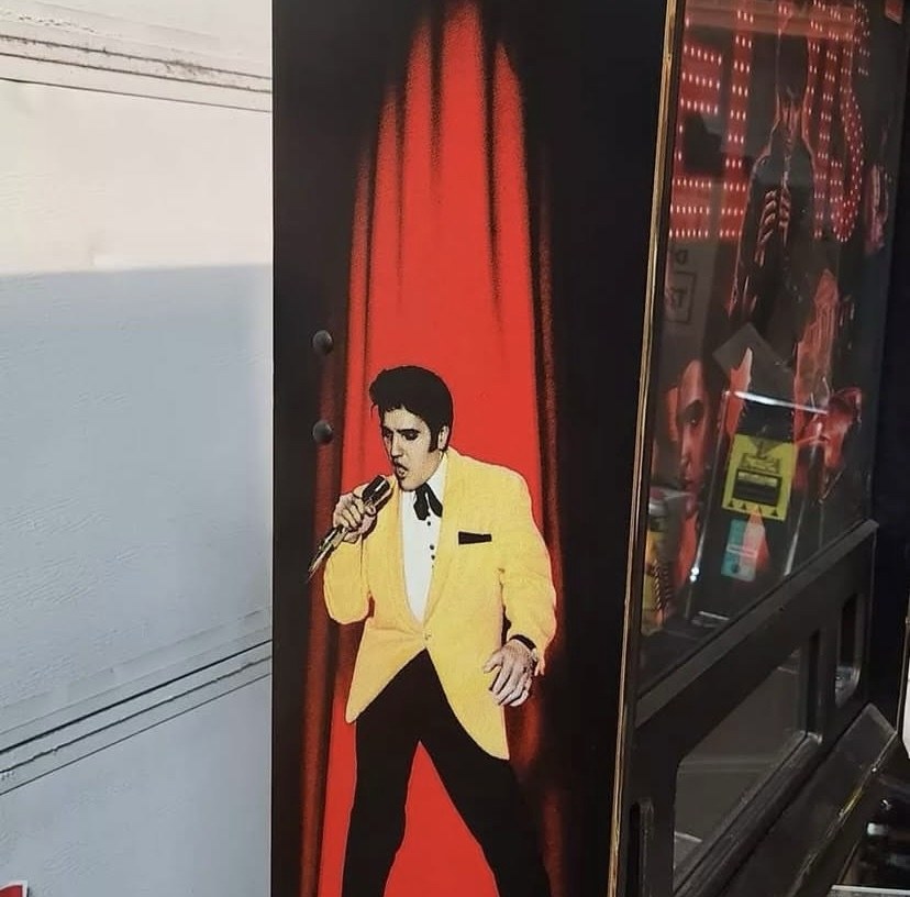 Elvis Pinball Machine by Stern — view 9