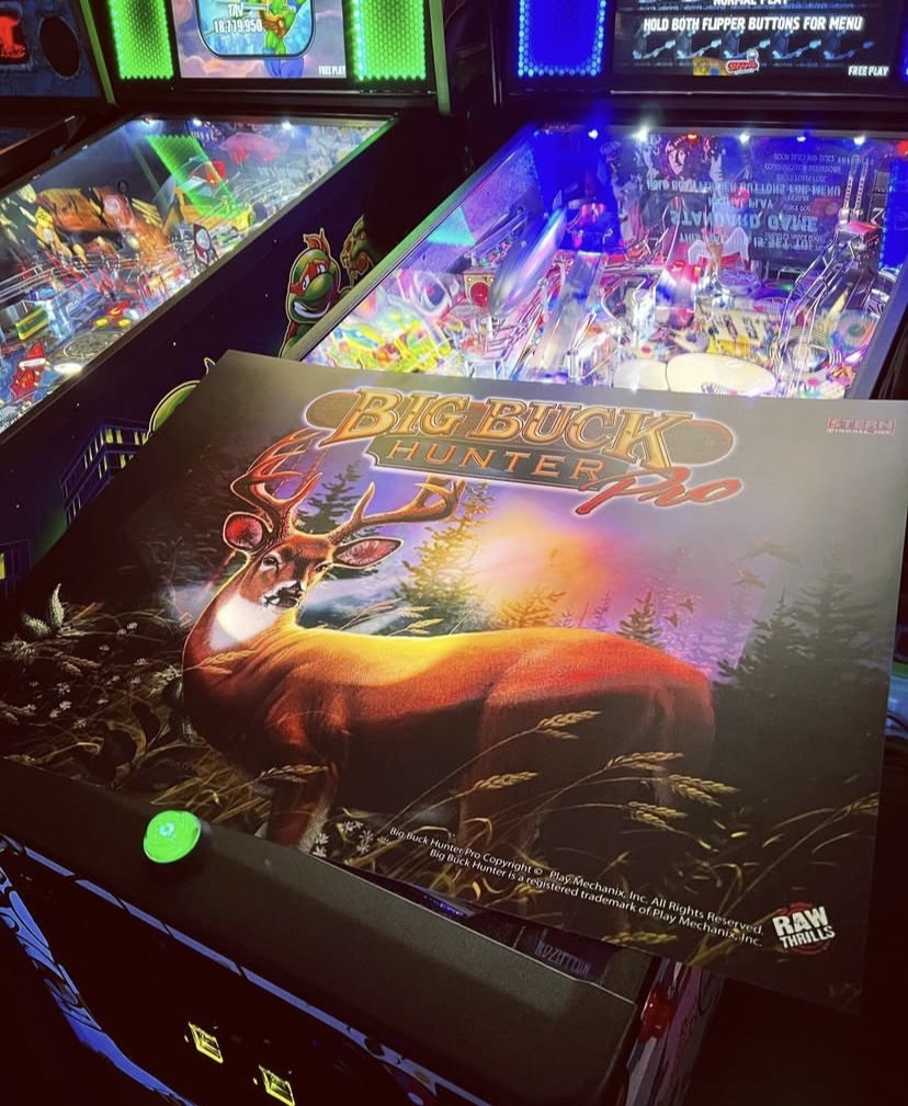 Big Buck Hunter Pro Pinball Machine — view 7