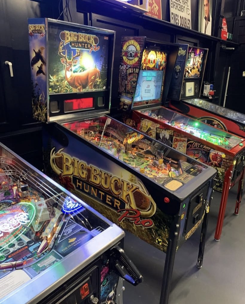 Big Buck Hunter Pro Pinball Machine — view 4