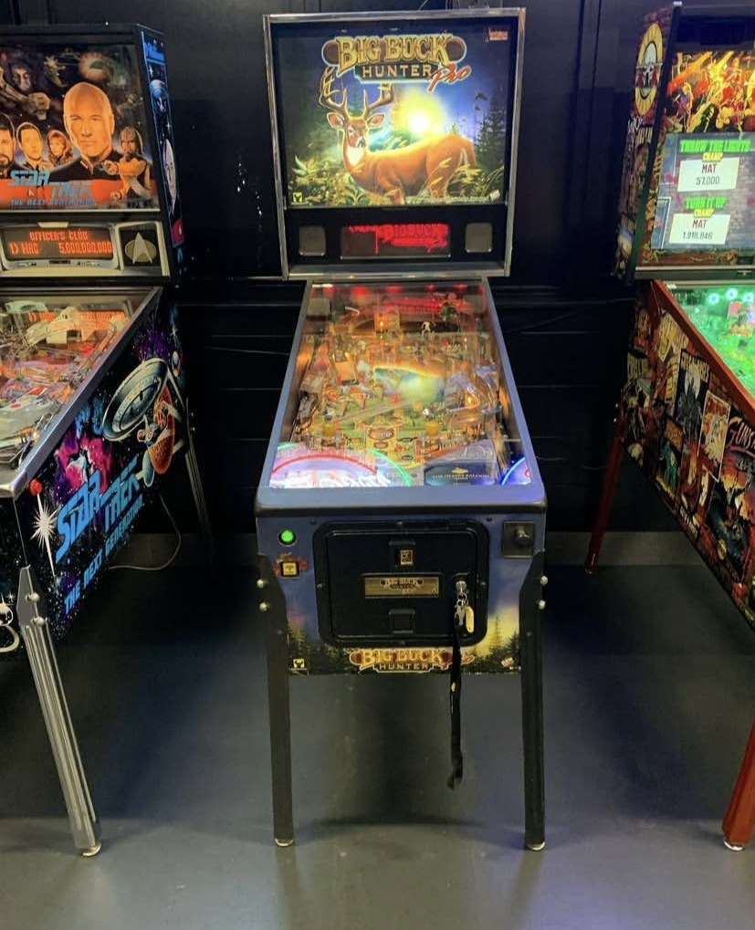 Big Buck Hunter Pro Pinball Machine — view 3