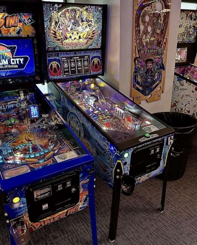 Aerosmith Pro Pinball Machine — view 6