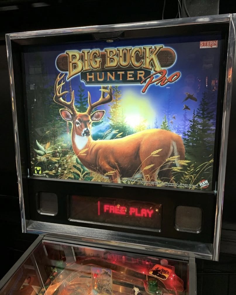 Big Buck Hunter Pro Pinball Machine — view 6