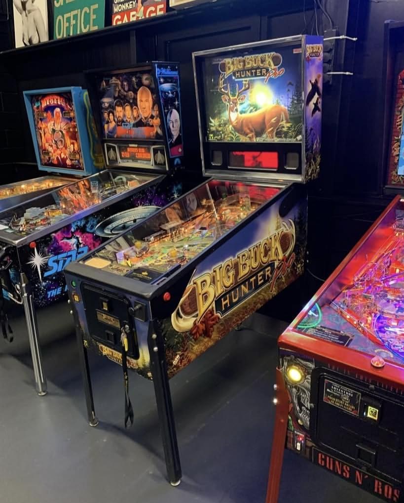 Big Buck Hunter Pro Pinball Machine — view 2